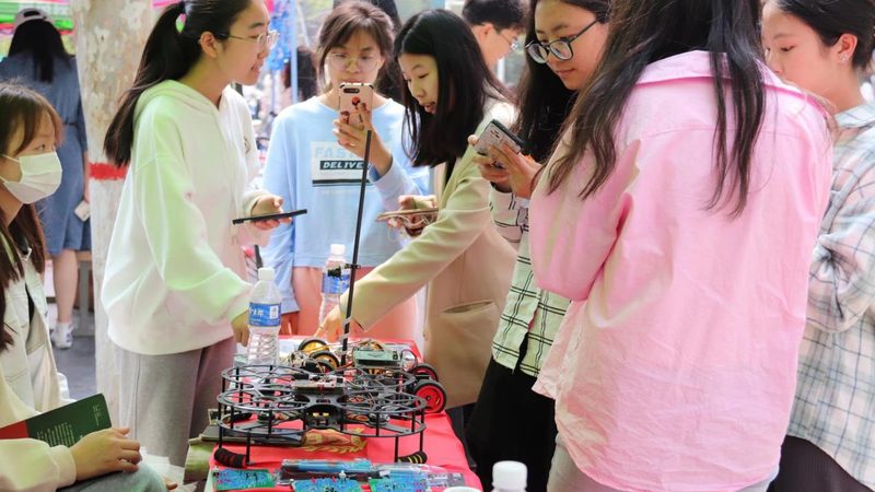 数据可视化图表：类型、效果图与选择指南